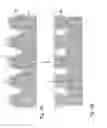 Fig. 03 - OBJECT HAVING A DUCTILE AND CORROSION RESISTANT SURFACE LAYER