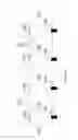 Fig. 08 - Methods and Apparatuses for producing a newspaper comprising aligning preprinted images to the operations of a press and modifying the cutoff length of the preprinted images