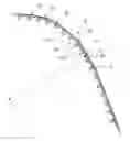Fig. 01 - Recording apparatus