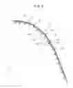 Fig. 05 - Recording apparatus