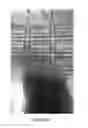 Fig. 08 - Method for creating tamper-evident labels
