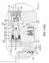 Fig. 28 - Valve stem located control regulator for an air maintenance tire