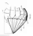 Fig. 13 - Articulating vehicle bellows