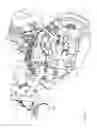 Fig. 20 - Engine device