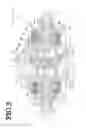 Fig. 03 - Vehicle
