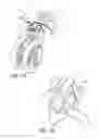 Fig. 08 - Baby stroller