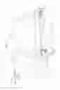 Fig. 03 - Vehicle luggage compartment structure