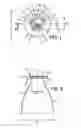 Fig. 02 - Liquid filled bottle having a thin cover member provided with a flexible reinforcing element