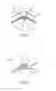 Fig. 05 - Locking subgrade vault