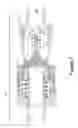 Fig. 08 - Nozzle and keyed flush face receiver