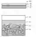 Fig. 01 - Joined body and method for producing the same