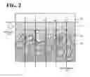 Fig. 03 - Joined body and method for producing the same