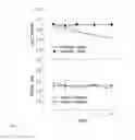 Fig. 09 - USING PHYLLOSILICATE-FE(II)-OXIDIZING SOIL BACTERIA TO IMPROVE FE AND K PLANT NUTRITION