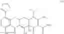 Fig. 06 - SUBSTITUTED TETRACYCLINE COMPOUNDS