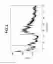 Fig. 03 - Forms of [R-(R*,R*)]-2-(4-fluorophenyl)-β, δ-dihydroxy-5-(1-methylethyl)-3-Phenyl-4-[(phenylamino)carbonyl]-1H-pyrrole-1-heptanoic acid calcium salt (2:1)