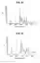 Fig. 18 - Forms of [R-(R*,R*)]-2-(4-fluorophenyl)-β, δ-dihydroxy-5-(1-methylethyl)-3-Phenyl-4-[(phenylamino)carbonyl]-1H-pyrrole-1-heptanoic acid calcium salt (2:1)