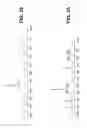 Fig. 19 - Forms of [R-(R*,R*)]-2-(4-fluorophenyl)-β, δ-dihydroxy-5-(1-methylethyl)-3-Phenyl-4-[(phenylamino)carbonyl]-1H-pyrrole-1-heptanoic acid calcium salt (2:1)