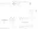Fig. 55 - NOVEL PYRROLE DERIVATIVES