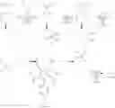 Fig. 62 - NOVEL PYRROLE DERIVATIVES