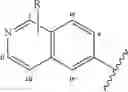 Fig. 31 - Factor XIa inhibitors