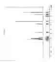 Fig. 30 - CRYSTALS OF LAQUINIMOD SODIUM AND IMPROVED PROCESS FOR THE MANUFACTURE THEREOF