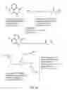 Fig. 17 - Compositions and methods of using the compositions for plaque softening