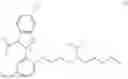 Fig. 05 - Inhibition of IL-2 production