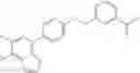 Fig. 20 - PHARMACEUTICAL COMPOSITION FOR THE TREATMENT OF DIABETES