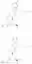 Fig. 137 - HETEROCYCLIC COMPOUND AND USE THEREOF