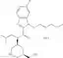 Fig. 172 - HETEROCYCLIC COMPOUND AND USE THEREOF