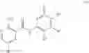 Fig. 05 - Protein kinase C inhibitors and methods of their use