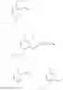 Fig. 124 - Compounds and uses thereof for the modulation of hemoglobin