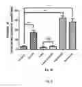 Fig. 10 - Synthesis of autophagy inducing compound and the uses thereof