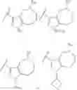 Fig. 189 - Octahydropyrrolopyrroles their preparation and use