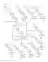 Fig. 10 - BMP inhibitors and methods of use thereof