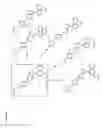 Fig. 20 - BMP inhibitors and methods of use thereof
