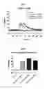 Fig. 06 - Breathing control modulating compounds, and methods of using same