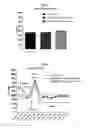 Fig. 13 - Breathing control modulating compounds, and methods of using same