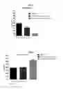 Fig. 15 - Breathing control modulating compounds, and methods of using same