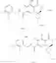 Fig. 120 - SUBSTITUTED SPIROPYRIDO[1,2-a]PYRAZINE DERIVATIVE AND PHARMACEUTICAL USE OF SAME AS HIV INTEGRASE INHIBITOR