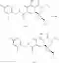 Fig. 194 - SUBSTITUTED SPIROPYRIDO[1,2-a]PYRAZINE DERIVATIVE AND PHARMACEUTICAL USE OF SAME AS HIV INTEGRASE INHIBITOR
