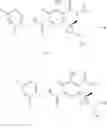 Fig. 206 - SUBSTITUTED SPIROPYRIDO[1,2-a]PYRAZINE DERIVATIVE AND PHARMACEUTICAL USE OF SAME AS HIV INTEGRASE INHIBITOR
