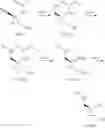 Fig. 65 - SUBSTITUTED SPIROPYRIDO[1,2-a]PYRAZINE DERIVATIVE AND PHARMACEUTICAL USE OF SAME AS HIV INTEGRASE INHIBITOR