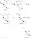 Fig. 68 - SUBSTITUTED SPIROPYRIDO[1,2-a]PYRAZINE DERIVATIVE AND PHARMACEUTICAL USE OF SAME AS HIV INTEGRASE INHIBITOR