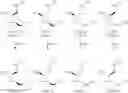 Fig. 70 - SUBSTITUTED SPIROPYRIDO[1,2-a]PYRAZINE DERIVATIVE AND PHARMACEUTICAL USE OF SAME AS HIV INTEGRASE INHIBITOR