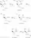 Fig. 83 - SUBSTITUTED SPIROPYRIDO[1,2-a]PYRAZINE DERIVATIVE AND PHARMACEUTICAL USE OF SAME AS HIV INTEGRASE INHIBITOR