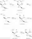 Fig. 85 - SUBSTITUTED SPIROPYRIDO[1,2-a]PYRAZINE DERIVATIVE AND PHARMACEUTICAL USE OF SAME AS HIV INTEGRASE INHIBITOR