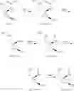 Fig. 86 - SUBSTITUTED SPIROPYRIDO[1,2-a]PYRAZINE DERIVATIVE AND PHARMACEUTICAL USE OF SAME AS HIV INTEGRASE INHIBITOR