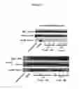 Fig. 03 - Compositions comprising thienopyrimidine and thienopyridine compounds and methods of use thereof