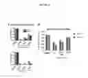 Fig. 11 - Compositions comprising thienopyrimidine and thienopyridine compounds and methods of use thereof